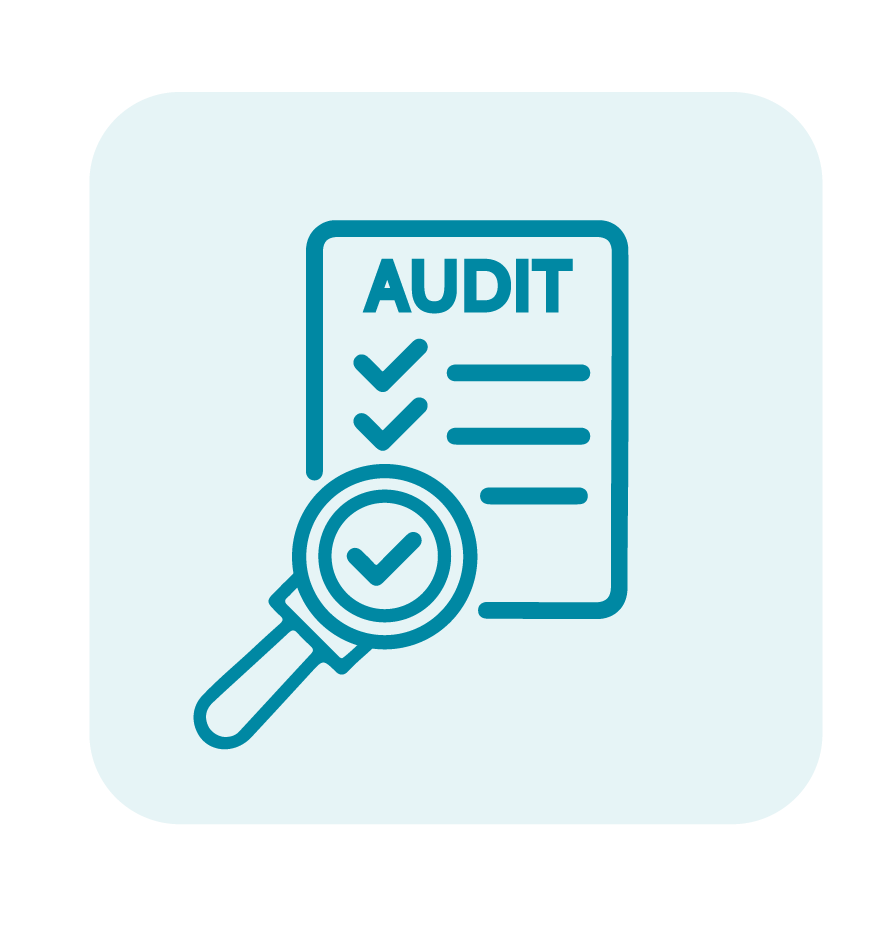internal-control-and-audit