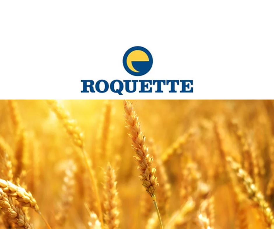 roquette-testimonial-sixthfin-usage